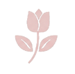jewelrvi